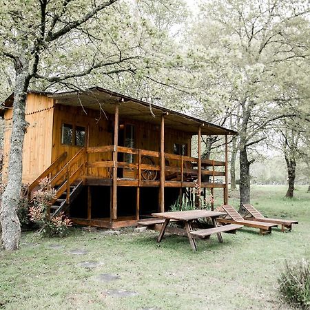 Le Ranch Amadeus Bed & Breakfast Saint-Paul-en-Born Dış mekan fotoğraf