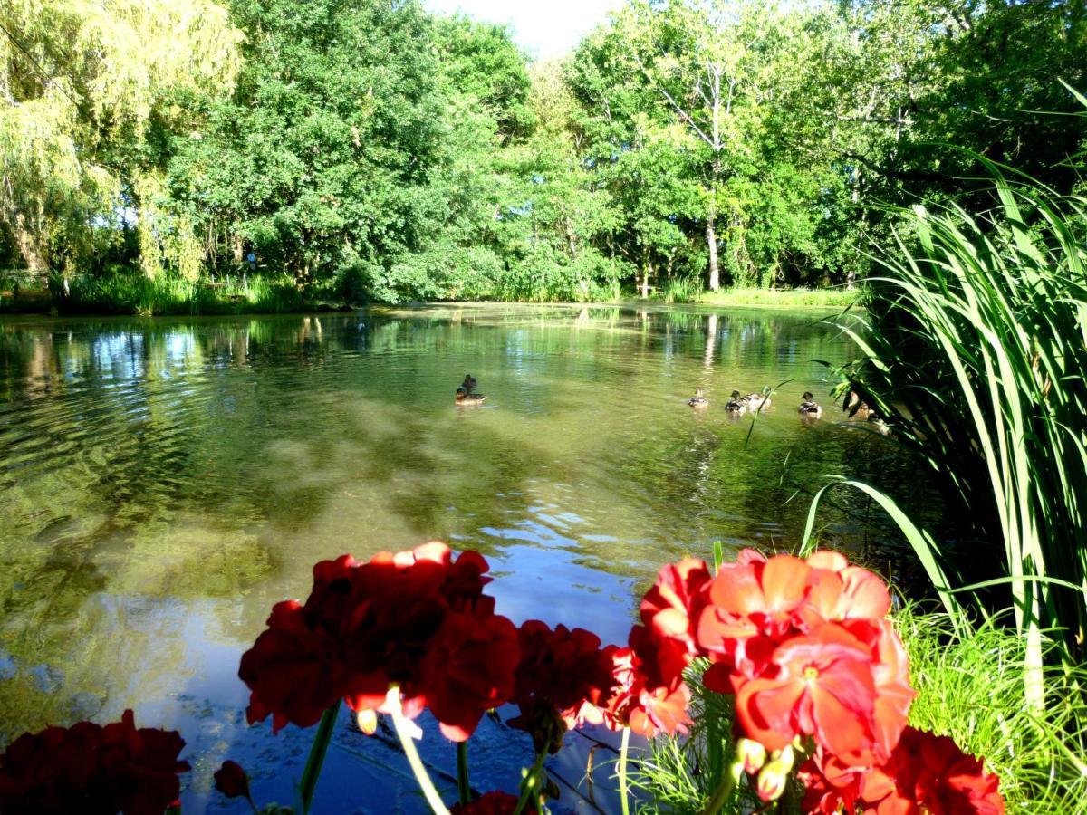 Le Ranch Amadeus Bed & Breakfast Saint-Paul-en-Born Dış mekan fotoğraf