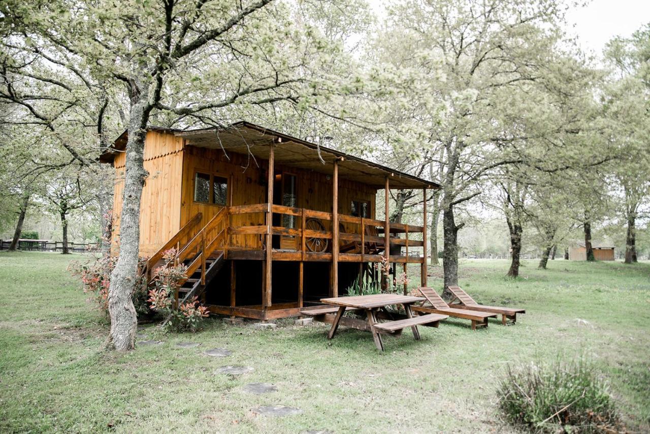 Le Ranch Amadeus Bed & Breakfast Saint-Paul-en-Born Dış mekan fotoğraf