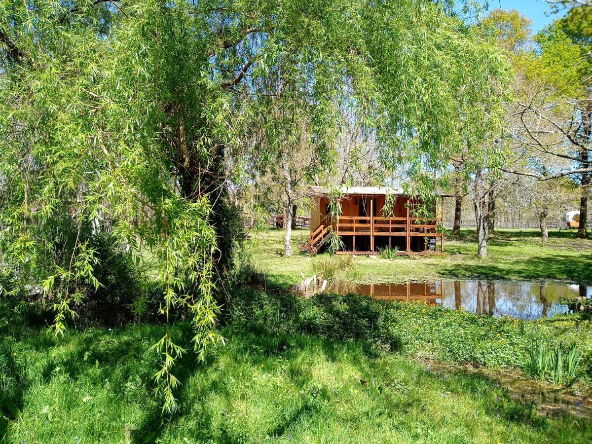 Le Ranch Amadeus Bed & Breakfast Saint-Paul-en-Born Dış mekan fotoğraf