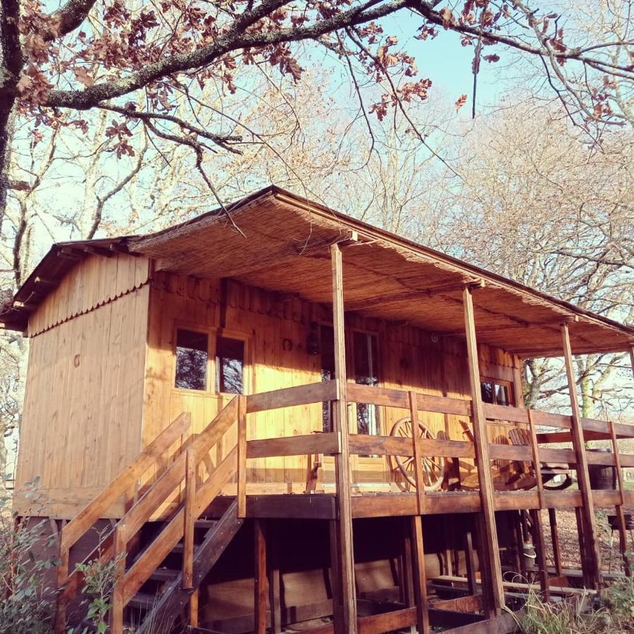 Le Ranch Amadeus Bed & Breakfast Saint-Paul-en-Born Dış mekan fotoğraf