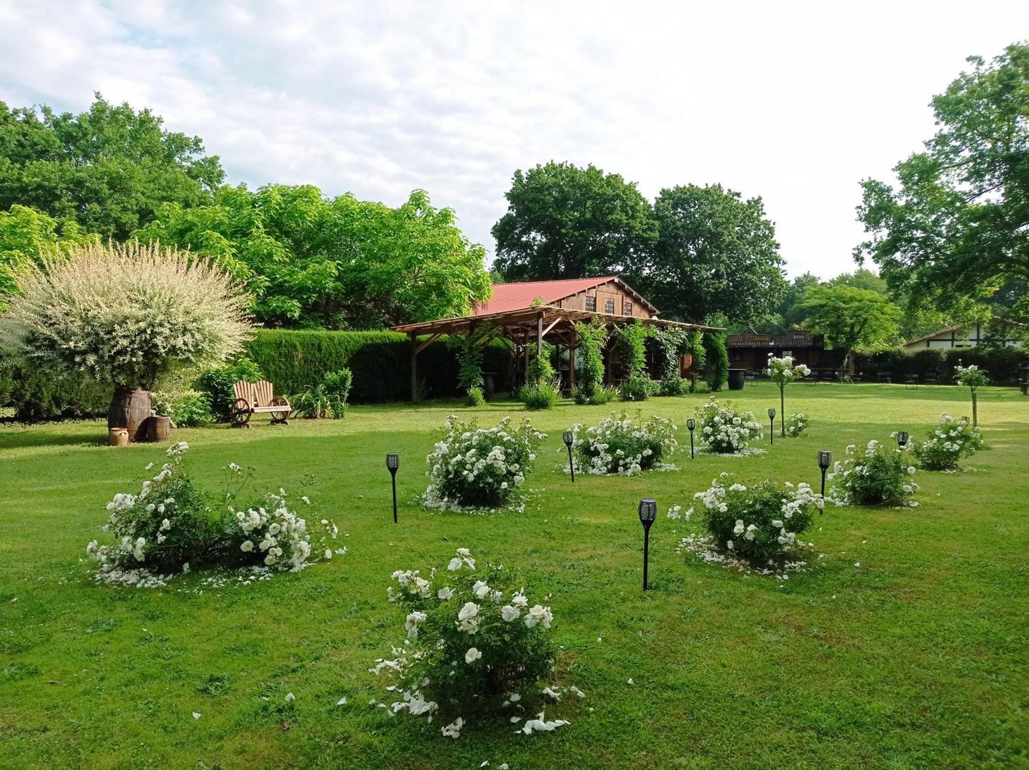 Le Ranch Amadeus Bed & Breakfast Saint-Paul-en-Born Dış mekan fotoğraf